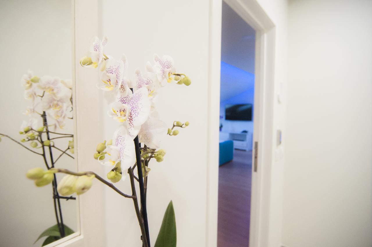 Los Rodeos Luxury Vivienda Vacacional La Laguna  Extérieur photo
